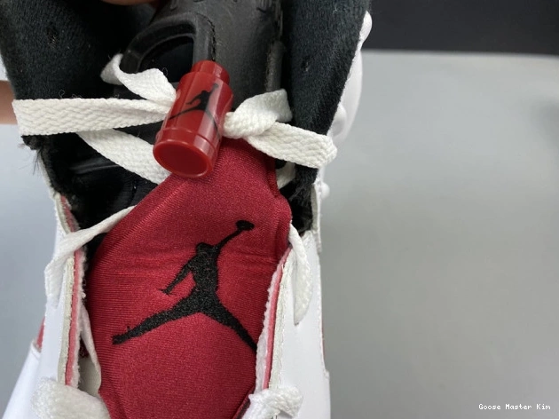 6 'CARMINE' 2014 384664-160 JORDAN RETRO AIR 0628